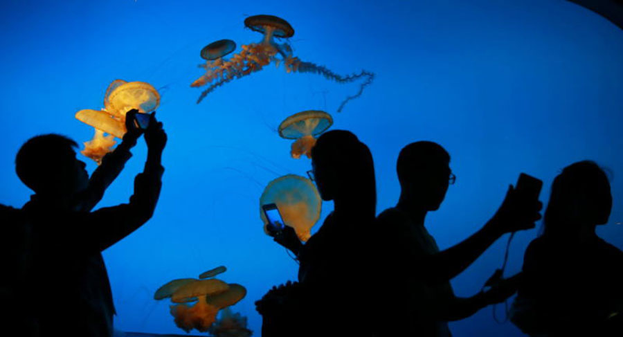 Left-behind children enjoy free tour of Beijing