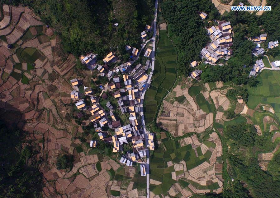 CHINA-GUANGXI-SUMMER HARVEST-CORN-DRYING (CN)