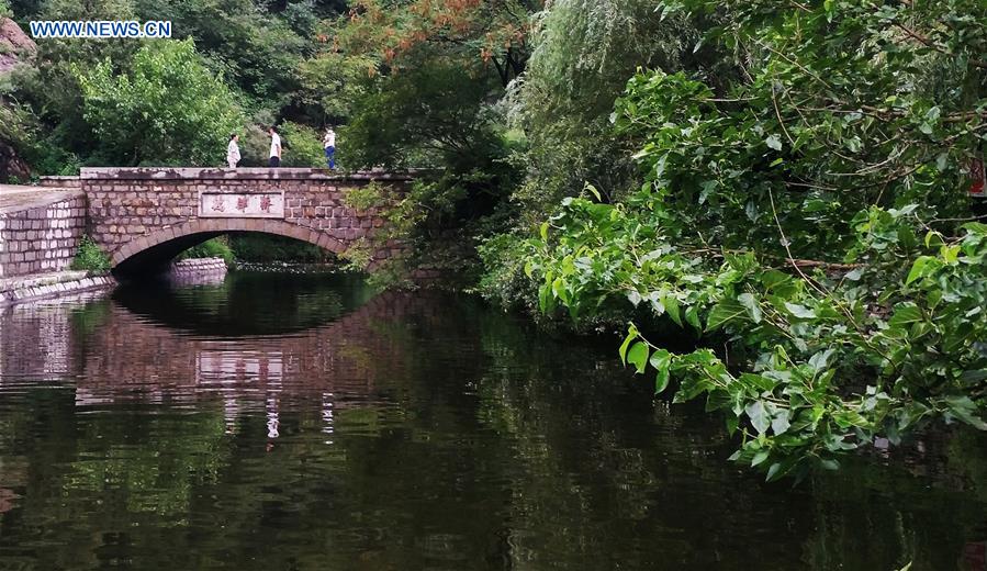 #CHINA-SHANDONG-ZOUPING-WATER ECOLOGICAL PROTECTION (CN)