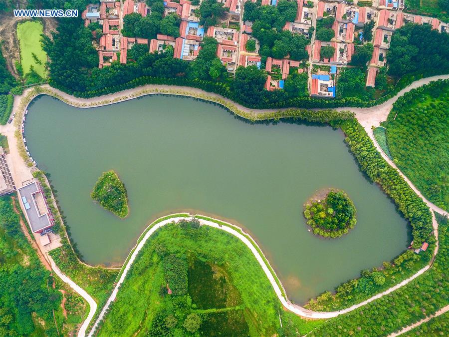 #CHINA-SHANDONG-ZOUPING-WATER ECOLOGICAL PROTECTION (CN)