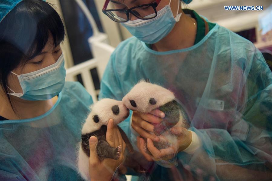 WEEKLY CHOICES OF XINHUA PHOTO