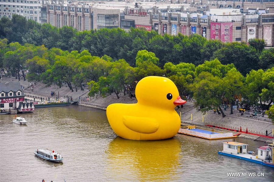 CHINA-HARBIN-RUBBER DUCK (CN)