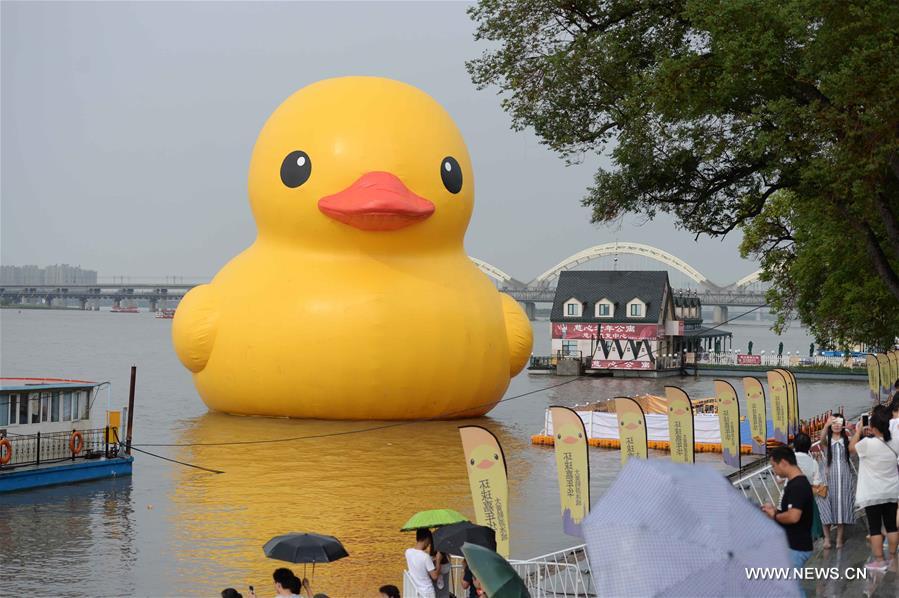 CHINA-HARBIN-RUBBER DUCK (CN)
