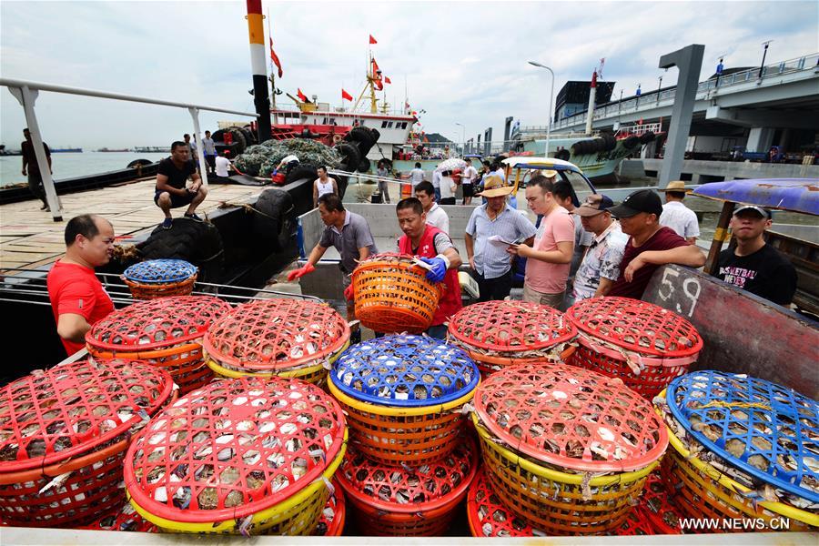 Fishermen here obtained a harvest of crabs on the third day after the end of fishing moratorium in the East China Sea