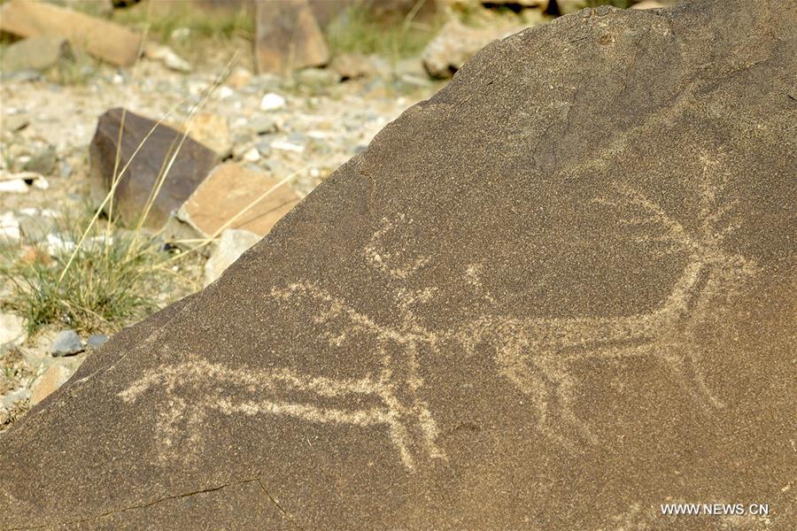 More than 1,000 cliff paintings were found here. 