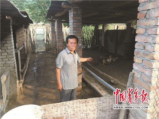 致富养羊能手资料_致富经创业项目农村养殖羊_养羊致富经