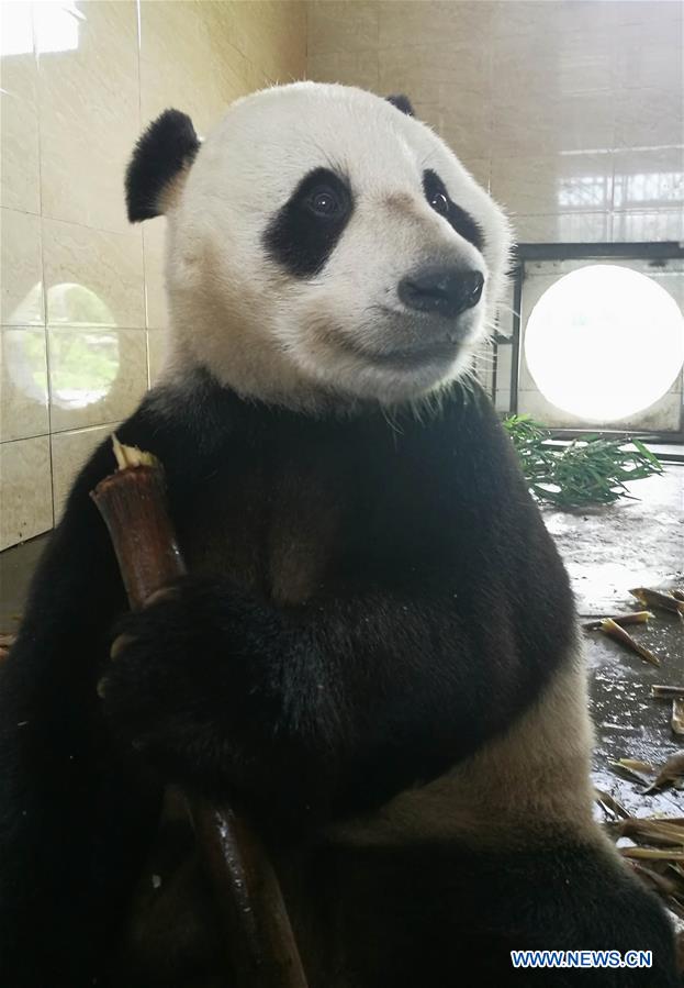 WEEKLY CHOICES OF XINHUA PHOTO