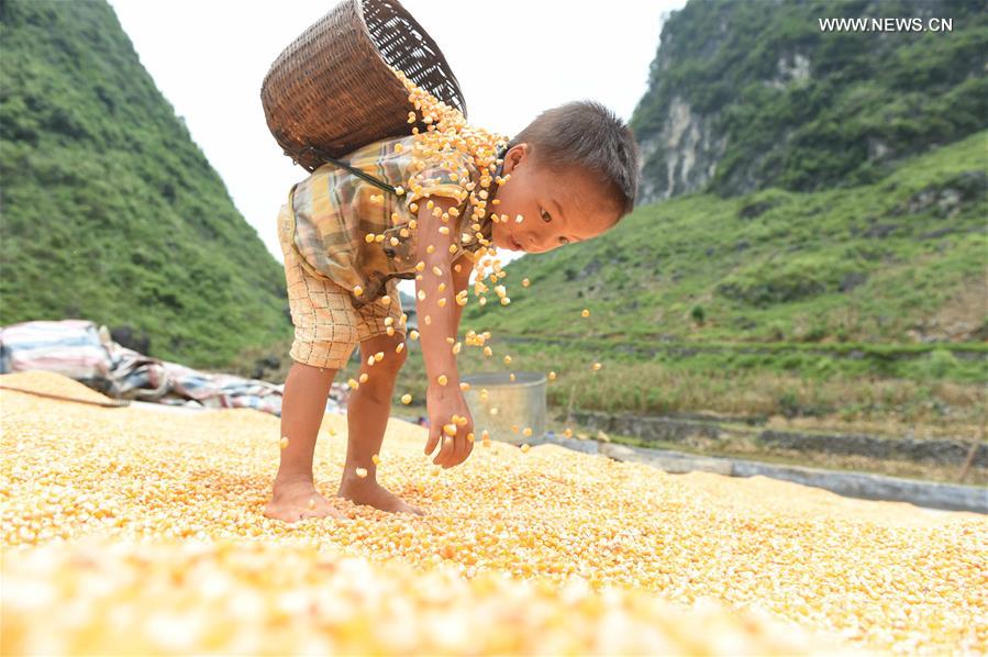 WEEKLY CHOICES OF XINHUA PHOTO