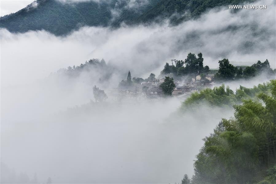 WEEKLY CHOICES OF XINHUA PHOTO