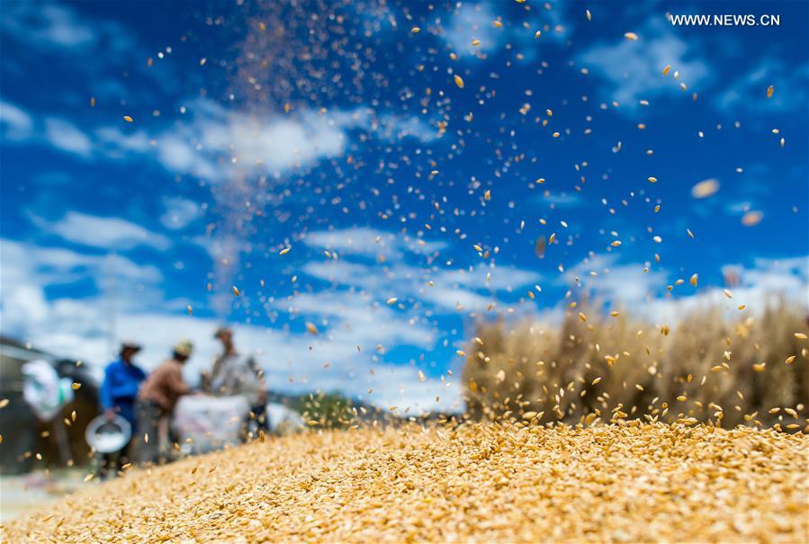 WEEKLY CHOICES OF XINHUA PHOTO