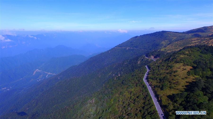 #CHINA-HUBEI-SHENNONGJIA-SCENERY (CN)