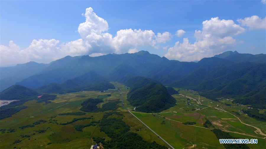 #CHINA-HUBEI-SHENNONGJIA-SCENERY (CN)