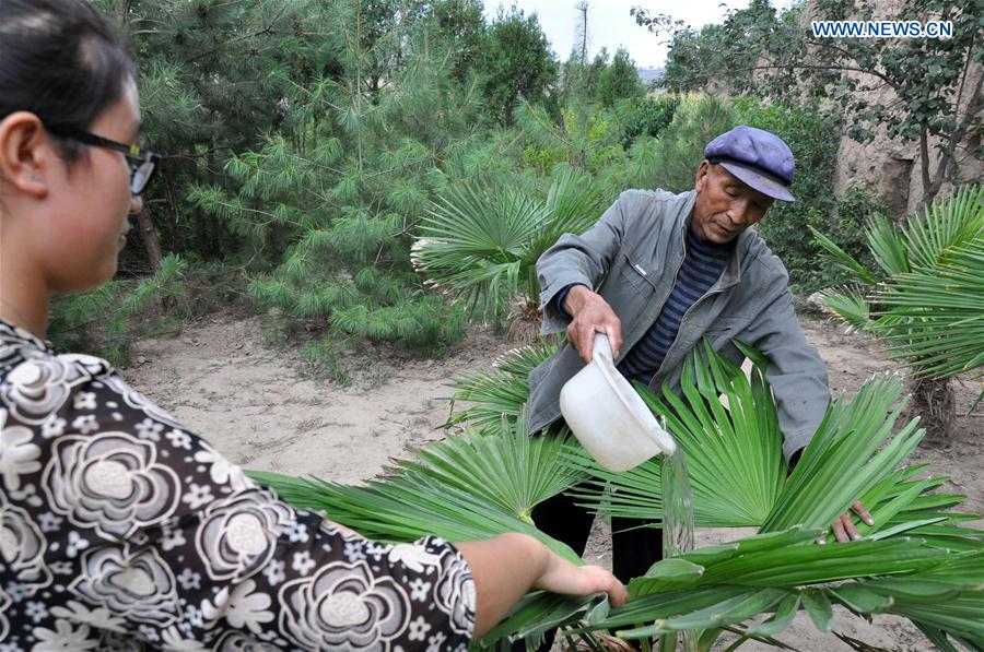 CHINA-GANSU-OLD MEN-TREE PLANTING (CN) 