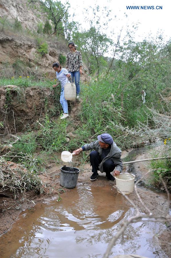 CHINA-GANSU-OLD MEN-TREE PLANTING (CN) 