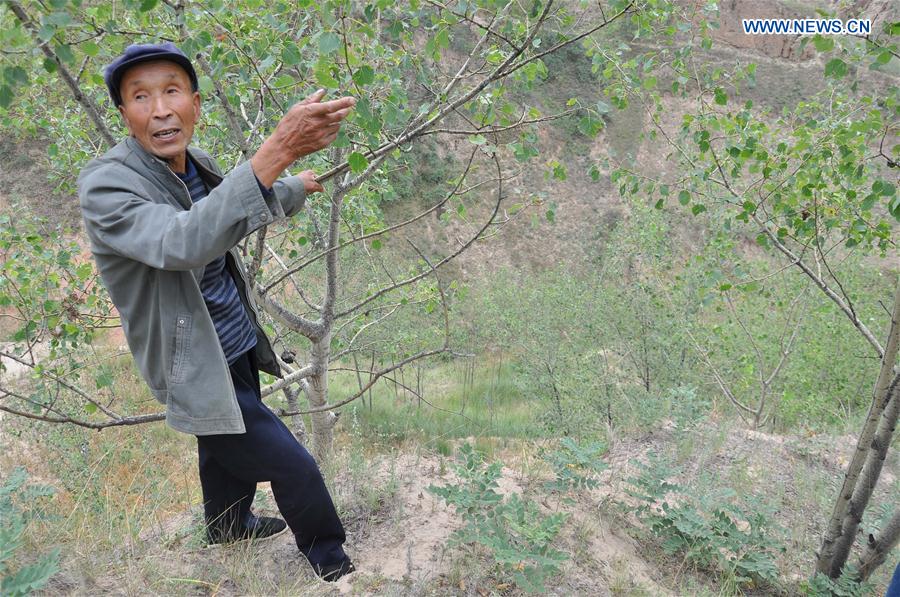 CHINA-GANSU-OLD MEN-TREE PLANTING (CN) 