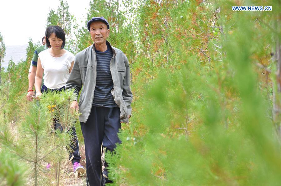 CHINA-GANSU-OLD MEN-TREE PLANTING (CN) 