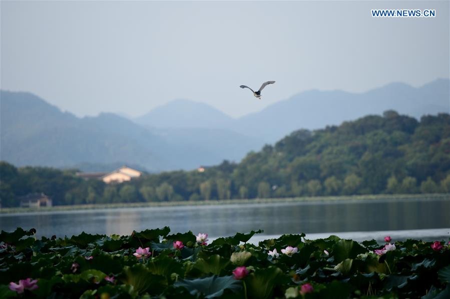 CHINA-HANGZHOU-WEST LAKE-MORNING(CN)