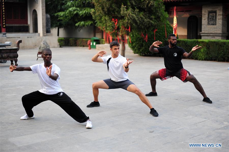 CHINA-HENAN-CHENJIAGOU-TAIJI-FOREIGN LEARNERS (CN)