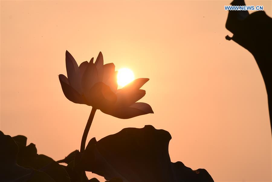 CHINA-HANGZHOU-WEST LAKE-MORNING(CN)