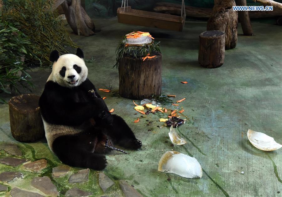 CHINA-TAIPEI-GIANT PANDAS-BIRTHDAY (CN)