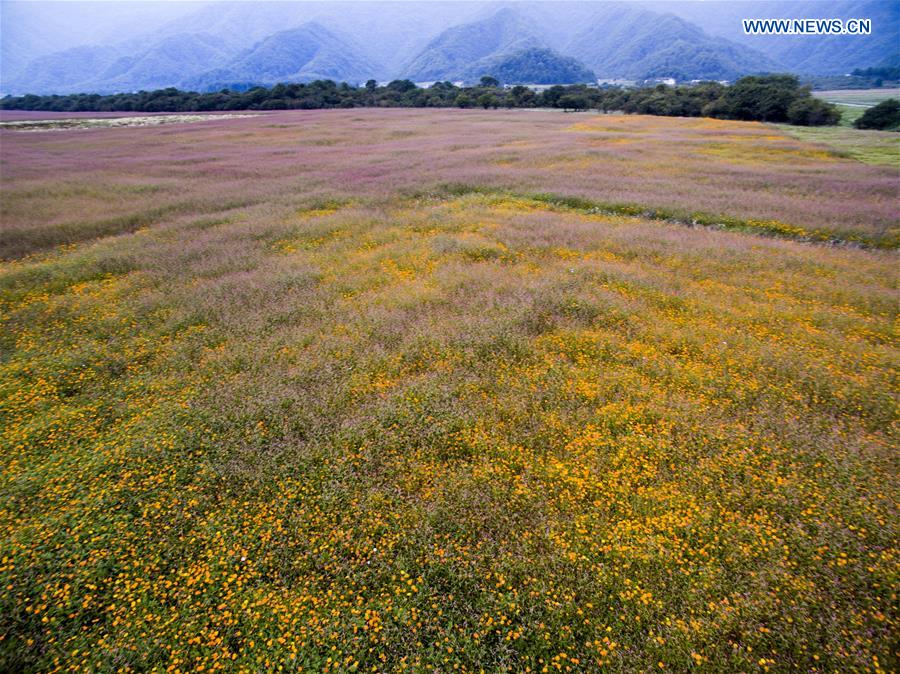 CHINA-HUBEI-SHENNONGJIA-SCENERY (CN)