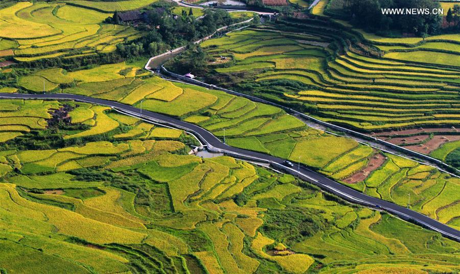 #CHINA-HUNAN-TERRACE-SCENERY (CN)