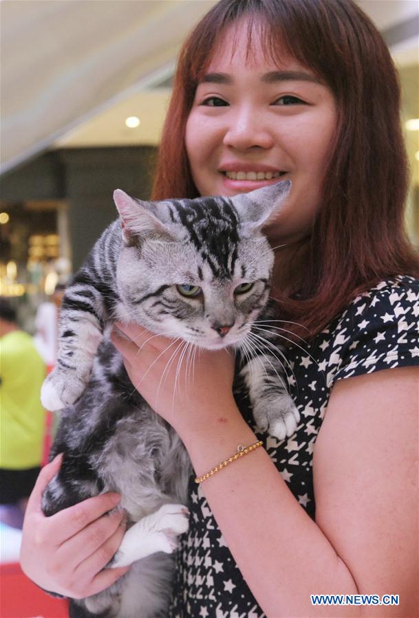 CHINA-CHENGDU-CAT SHOW (CN)