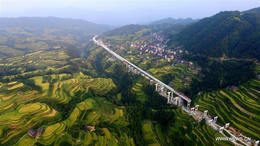 #CHINA-GUANGXI-TERRACED FIELDS-AUTUMN SCENERY (CN) 