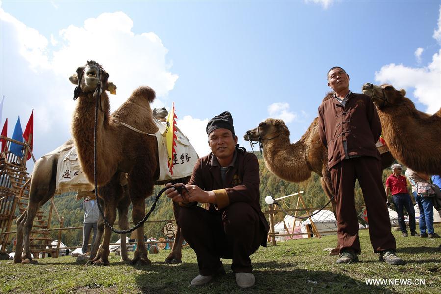 The Second World Nomad Games, from Sept. 3 to 8 will be attended by around 500 athletes in 26 sports. (Xinhua/Roman Gainanov)