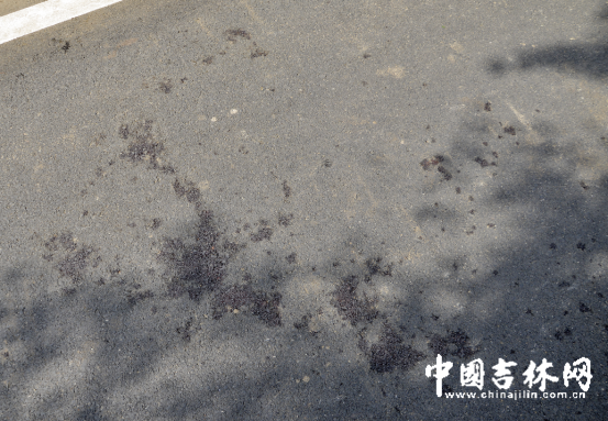 追踪：吉林大学两名研究生深夜被砍一死一伤