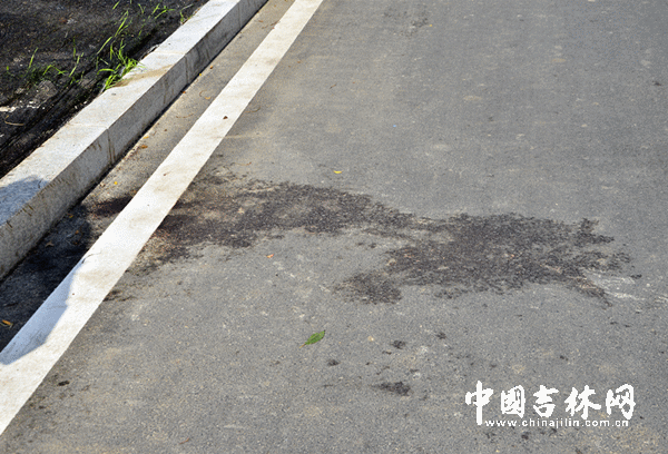 追踪：吉林大学两名研究生深夜被砍一死一伤
