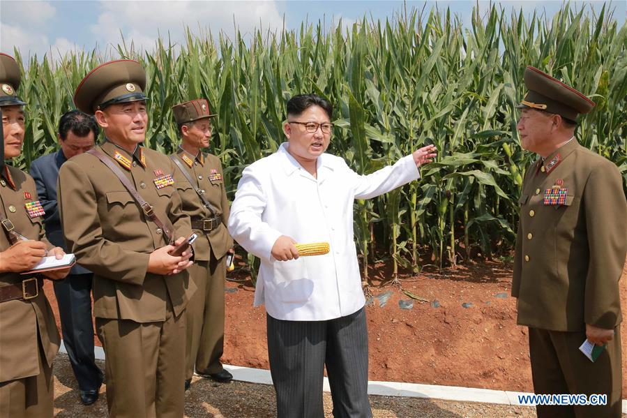 DPRK-FARM-KIM JONG UN-FIELD GUIDANCE 