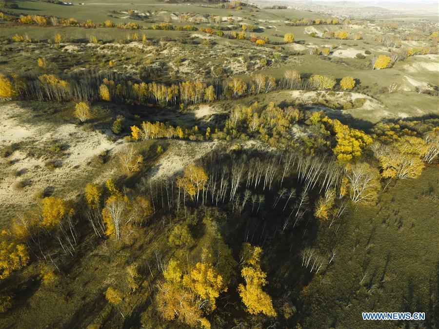 #CHINA-INNER MONGOLIA-HEXIGTEN QI-GRASSLAND(CN)