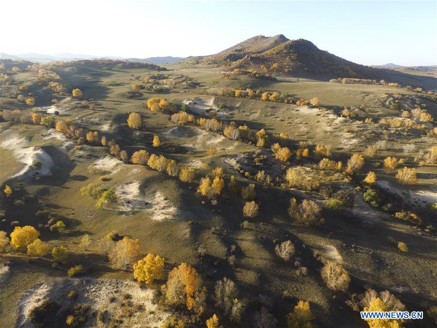 #CHINA-INNER MONGOLIA-HEXIGTEN QI-GRASSLAND(CN)