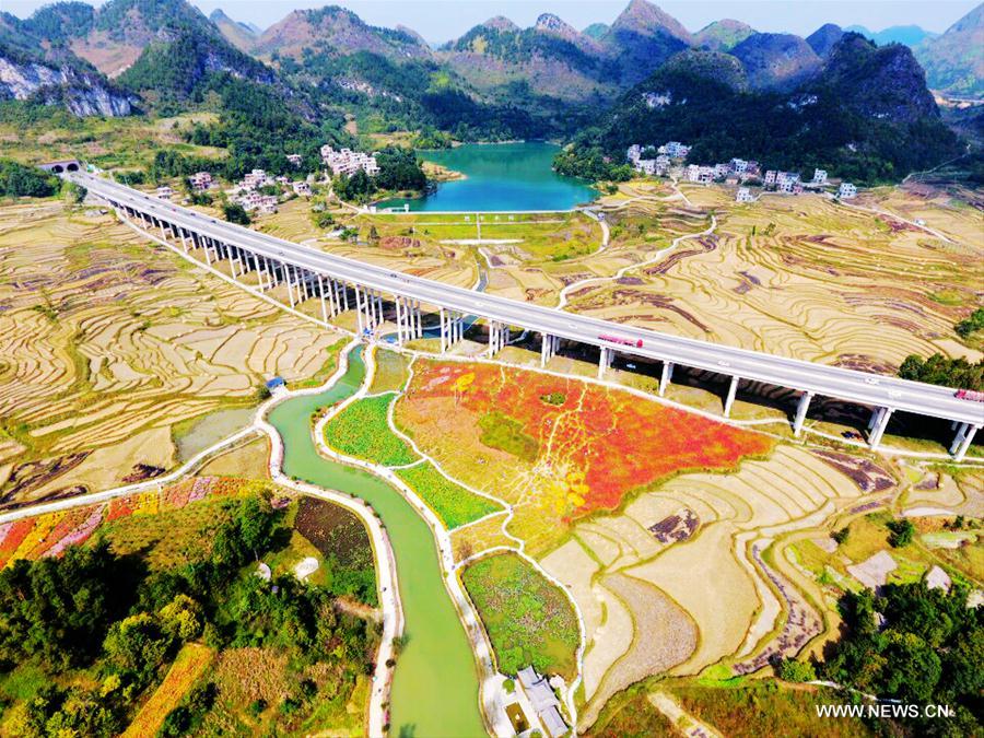 #CHINA-GUANGXI-AUTUMN-SCENERY (CN)