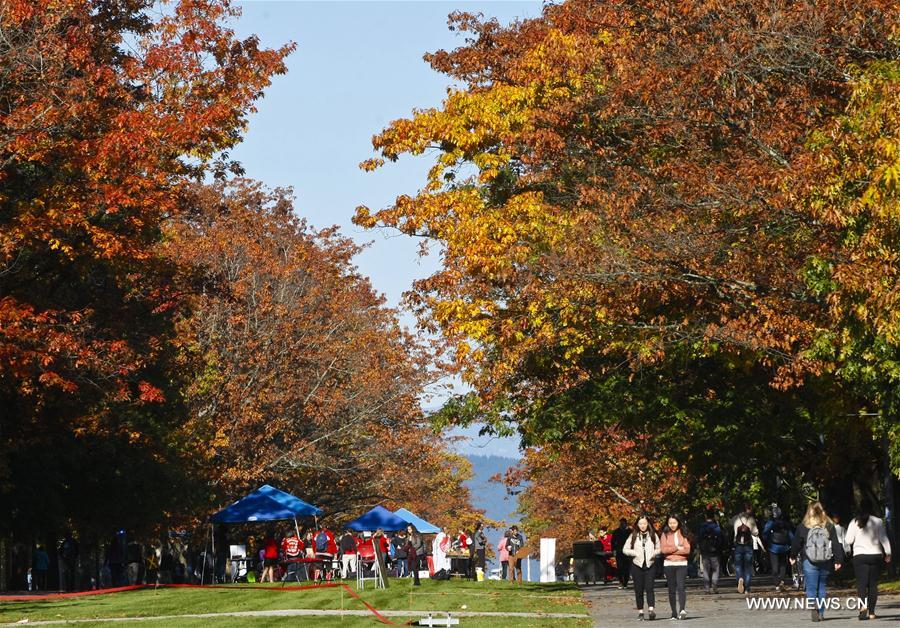 CANADA-VANCOUVER-AUTUMN LEAVES