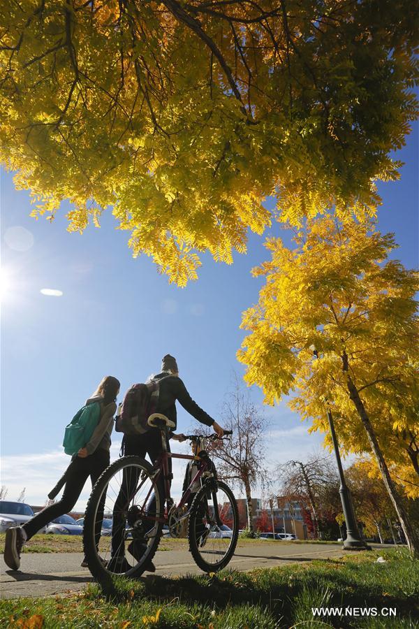 CANADA-VANCOUVER-AUTUMN LEAVES