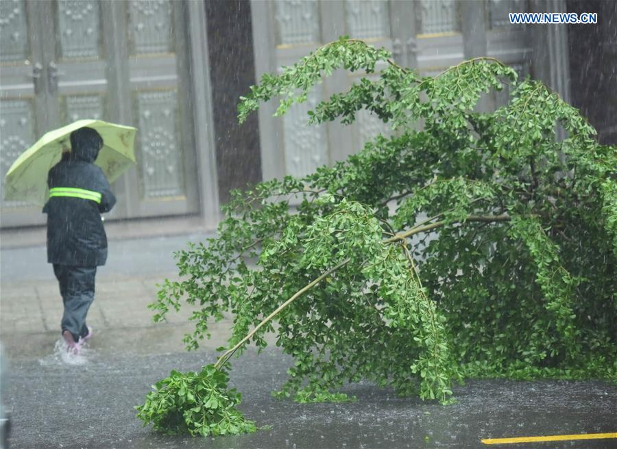 #CHINA-HAINAN-TYPHOON SARIKA-LANDFALL (CN)