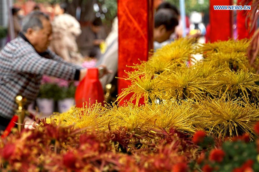 CHINA-HENAN-KAIFENG-CHRYSANTHEMUM (CN)