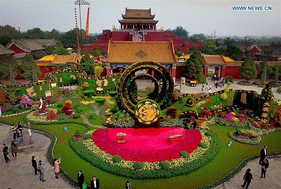 CHINA-HENAN-KAIFENG-CHRYSANTHEMUM (CN)