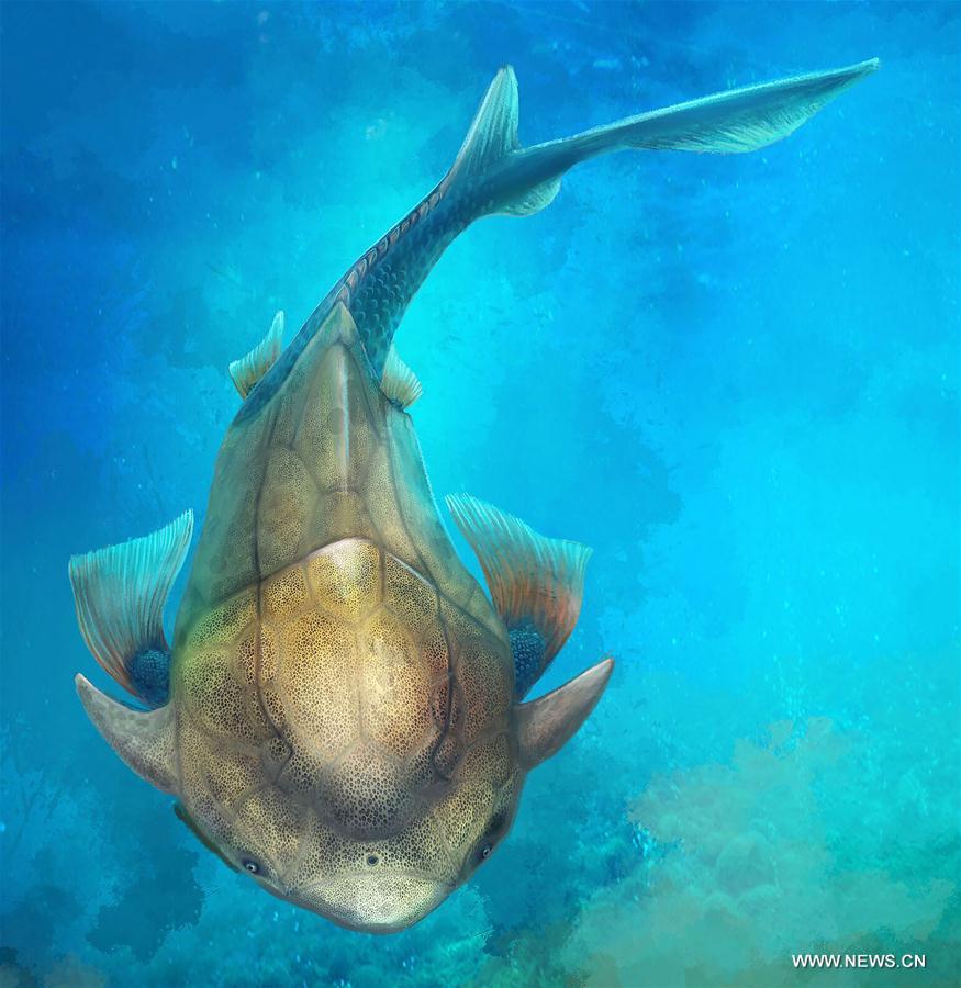 U.S.-WASHINGTON D.C.-CHINA FISH FOSSIL-QINLINYU