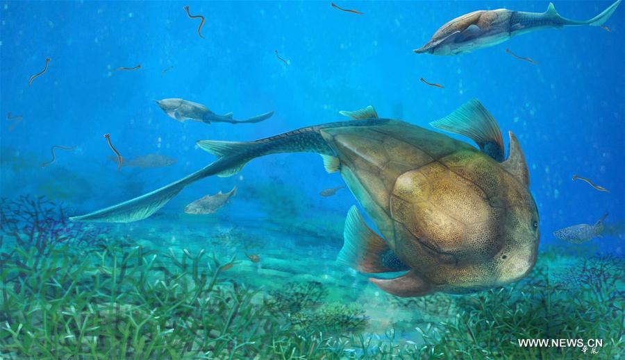 U.S.-WASHINGTON D.C.-CHINA FISH FOSSIL-QINLINYU