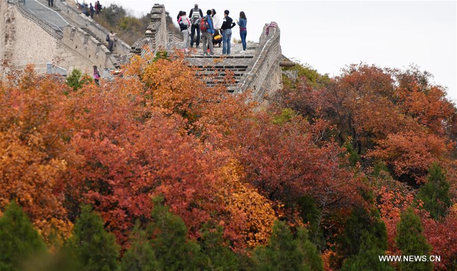 Tourists visit the Badaling National Forest Park in Beijing, capital of China, Oct. 23, 2016.