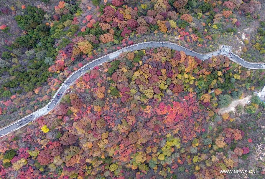 Tourists visit the Badaling National Forest Park in Beijing, capital of China, Oct. 23, 2016.