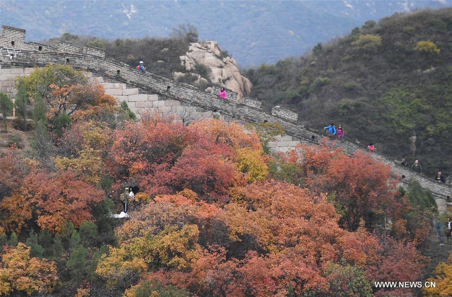 Tourists visit the Badaling National Forest Park in Beijing, capital of China, Oct. 23, 2016.