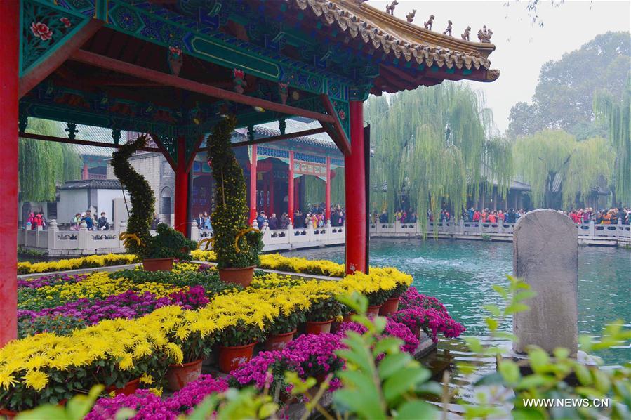 CHINA-JINAN-CHRYSANTHEMUM (CN) 