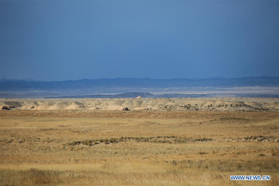 CHINA-GANSU-SHULE RIVER-SCENERY (CN)