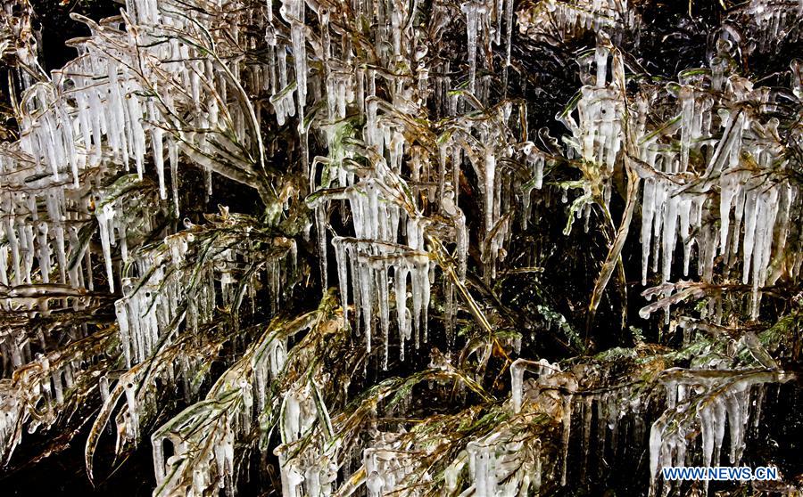 #CHINA-GANSU-ZHANGYE-ICICLES (CN)