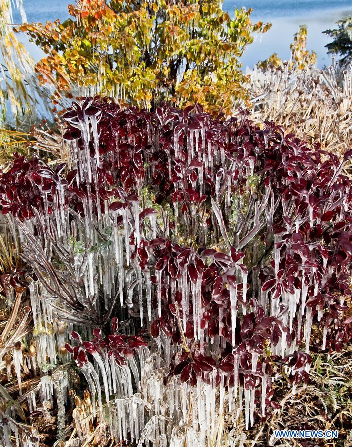 #CHINA-GANSU-ZHANGYE-ICICLES (CN)