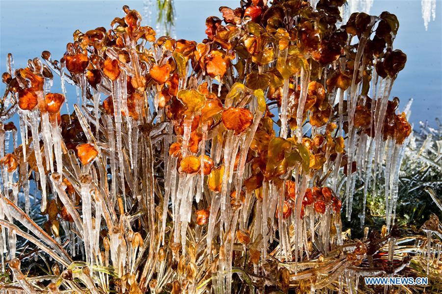 #CHINA-GANSU-ZHANGYE-ICICLES (CN)
